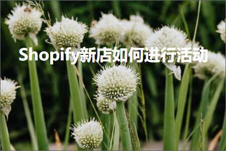 跨境电商知识:Shopify新店如何进行活动