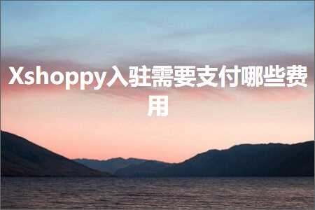 跨境电商知识:Xshoppy入驻需要支付哪些费用