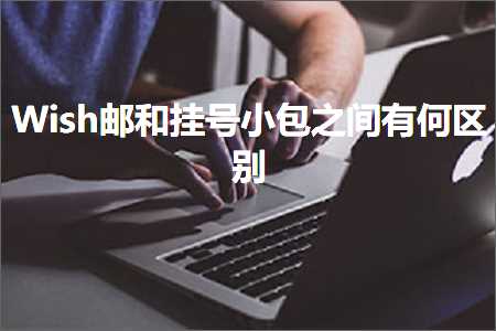 璺ㄥ鐢靛晢鐭ヨ瘑:Wish閭拰鎸傚彿灏忓寘涔嬮棿鏈変綍鍖哄埆