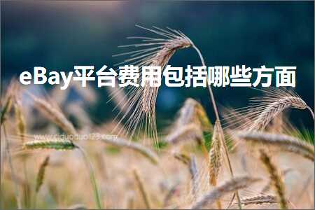 璺ㄥ鐢靛晢鐭ヨ瘑:eBay骞冲彴璐圭敤鍖呮嫭鍝簺鏂归潰