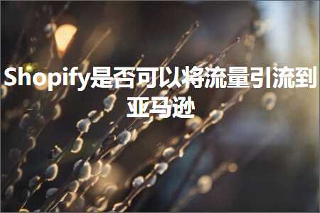 跨境电商知识:Shopify是否可以将流量引流到亚马逊