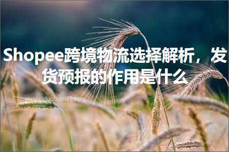 跨境电商知识:Shopee跨境物流选择解析，发货预报的作用是什么