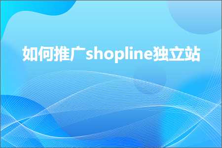 跨境电商知识:如何推广shopline独立站